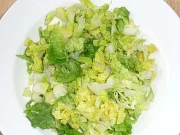 Rezept: Wrap.... der schnelle Snack Bild Nr. 8 Wrap.... der schnelle Snack - Rezept - Bild Nr. 8