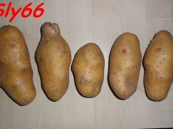 Rezept: Pfannengerichte:Gemüse aus dem Wok Bild Nr. 2 Pfannengerichte:Gemüse aus dem Wok - Rezept - Bild Nr. 2