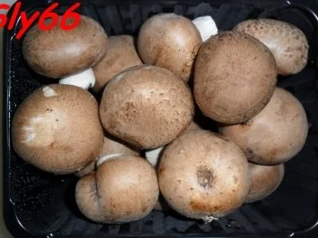 Rezept: Pfannengerichte:Gemüse aus dem Wok Bild Nr. 14 Pfannengerichte:Gemüse aus dem Wok - Rezept - Bild Nr. 14