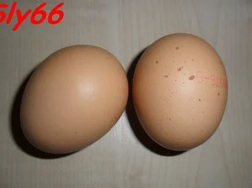 Rezept: Pfannengerichte:Gemüse aus dem Wok Bild Nr. 20 Pfannengerichte:Gemüse aus dem Wok - Rezept - Bild Nr. 20