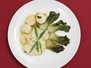 Jakobsmuscheln mit Kokos-Kartoffelbrei und Bok-Choi-Gemüse (Antonia Langsdorf) - Rezept
