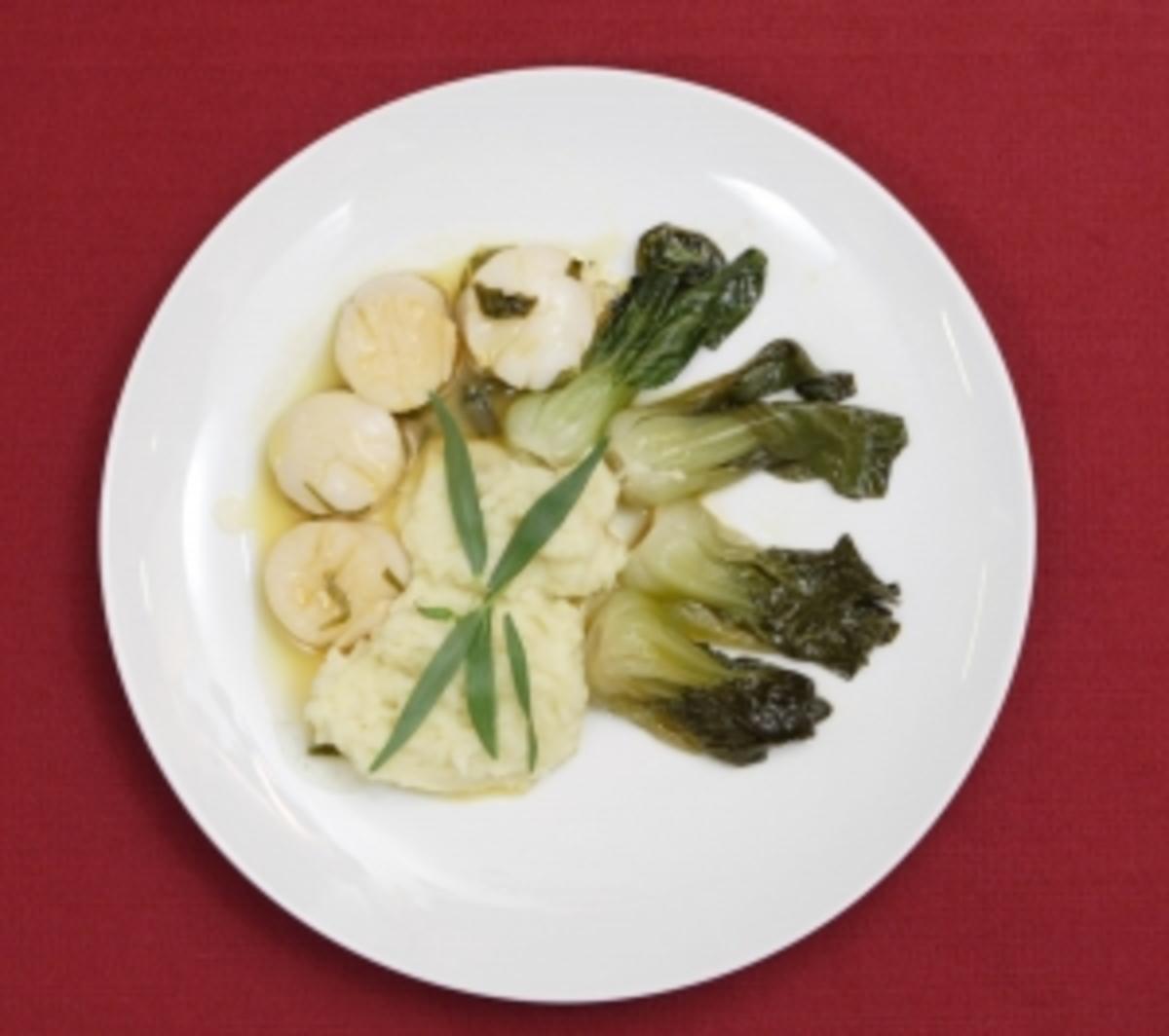 Jakobsmuscheln mit Kokos-Kartoffelbrei und Bok-Choi-Gemüse (Antonia
Langsdorf) - Rezept Von Einsendungen Das perfekte Promi Dinner