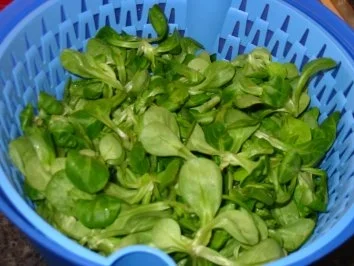 Rezept: Marinierte Hähnchenflügel an Feldsalat mit Saure Sahne-Jogurthdressing Bild Nr. 3 Marinierte Hähnchenflügel an Feldsalat mit Saure Sahne-Jogurthdressing - Rezept - Bild Nr. 3