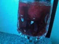 Rezept: Beerenmix Beerenmix - Rezept