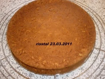 Apfelbisquit - Rezept - Bild Nr. 7