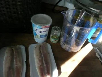 TERRINE /FORELLE :Fisch  2 - Rezept - Bild Nr. 3