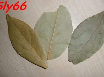 Rezept: Soßen:Schweinsknochensoße Bild Nr. 5 Soßen:Schweinsknochensoße - Rezept - Bild Nr. 5