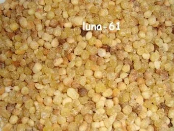 BRANZINO ALLA SARDA - Wolfsbarsch sardische Art - Rezept - Bild Nr. 7