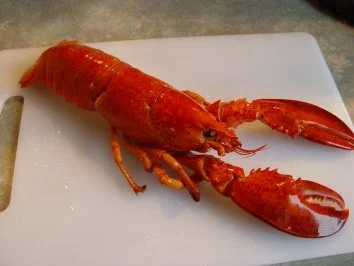 Rezept: Hummer – Thermidor Bild Nr. 2 Hummer – Thermidor - Rezept - Bild Nr. 2