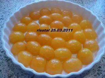 Rezept: Reis - Aprikosen - Auflauf Bild Nr. 6 Reis - Aprikosen - Auflauf - Rezept - Bild Nr. 6