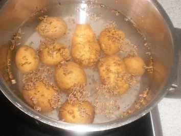 Rezept: Rührei ~ Pellkartoffeln ~ Gurkensalat Bild Nr. 2 Rührei ~ Pellkartoffeln ~ Gurkensalat - Rezept - Bild Nr. 2