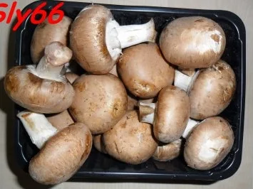 Geflügel:Hähnchen Gefüllt - Rezept - Bild Nr. 5