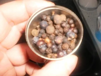 Putenkeulen mit Paprika-Sellerie-Gemüse und Klößen - Rezept - Bild Nr. 6