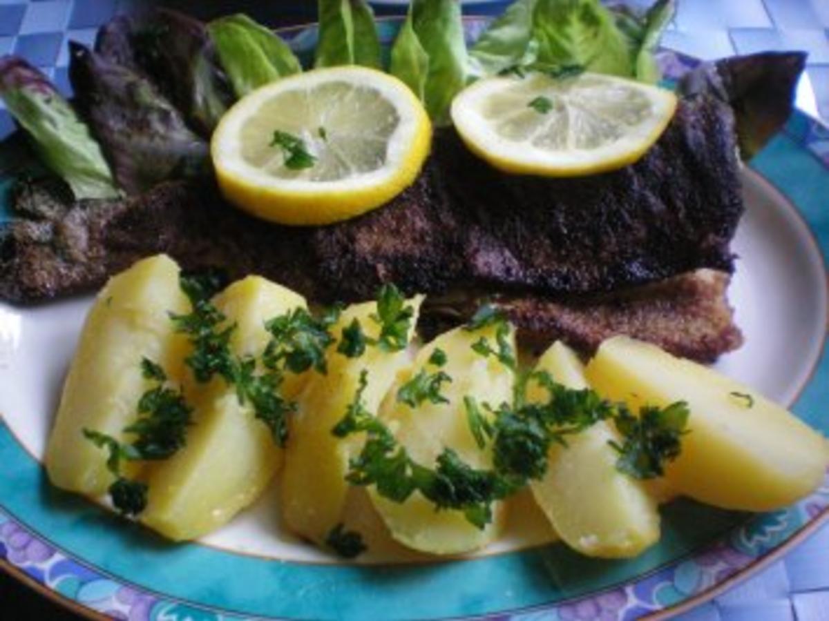 Forelle &amp;quot;Müllerin&amp;quot; mit Petersilienkartoffeln und Salat - Rezept ...