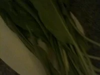 Rezept: Bärlauch Frisch/Schafskäse Creme .... Bild Nr. 4 Bärlauch Frisch/Schafskäse Creme .... - Rezept - Bild Nr. 4