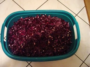 Rotkohl (eingekocht) - Rezept - Bild Nr. 2