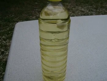 Fisch im ganzen - Rezept - Bild Nr. 4