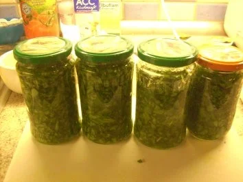 Bärlauchpesto - Rezept - Bild Nr. 5