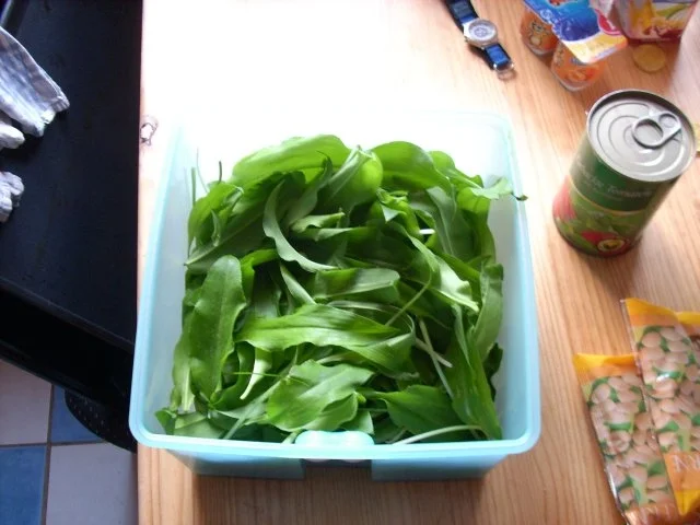 Bärlauchpesto - Rezept - Bild Nr. 6