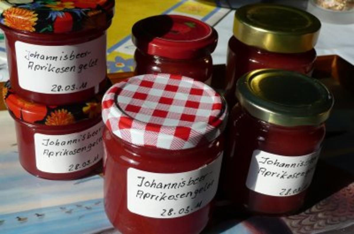 Marmelade: Johannisbeer - Aprikosengelee - Rezept - kochbar.de