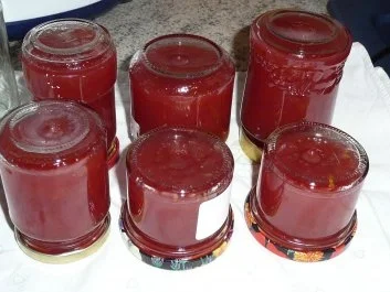 Marmelade: Johannisbeer - Aprikosengelee - Rezept - Bild Nr. 2