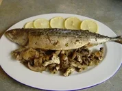 Gefüllte Makrelen - Rezept