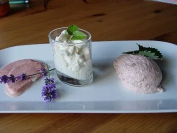 Erdbeereis und Erdbeermousse mit Amarettojoghurt - Rezept