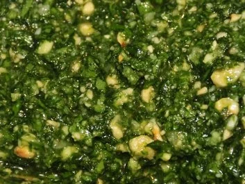 Bärlauchpesto mit Haselnüssen und Pecorino - Rezept - Bild Nr. 4