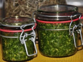 Bärlauchpesto mit Haselnüssen und Pecorino - Rezept - Bild Nr. 3