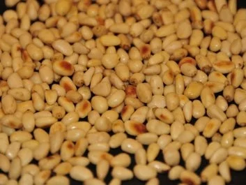 Bärlauchpesto mit Pinienkernen und Parmesan - Rezept - Bild Nr. 3