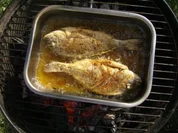 Dorade gebraten mit Tomatenreis - Rezept