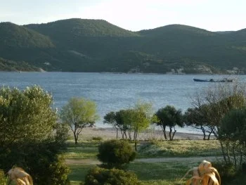 Dorade gebraten mit Tomatenreis - Rezept - Bild Nr. 5