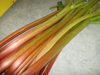 Rhabarberkompott - Rezept - Bild Nr. 2