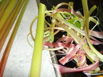 Rhabarberkompott - Rezept - Bild Nr. 3
