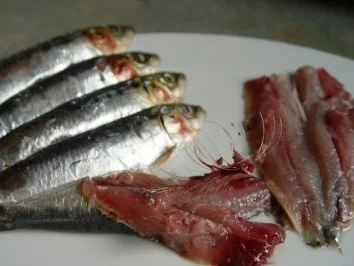 Sardinen in Tomatensauce - Rezept - Bild Nr. 2