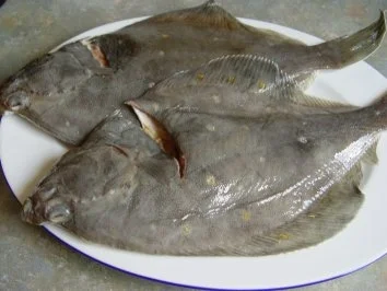 Rezept: Butterscholle Bild Nr. 2 Butterscholle - Rezept - Bild Nr. 2