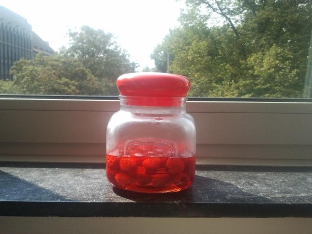 Himbeeressig mit frische Himbeeren und Weißweinessig - Rezept mit Bild ... Himbeeressig mit frische Himbeeren und Weißweinessig - Rezept mit Bild ...