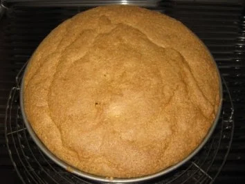 Haselnuss-Bisquit - Rezept - Bild Nr. 7