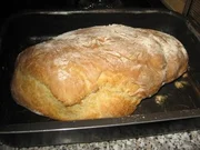 Ciabatta - Rezept