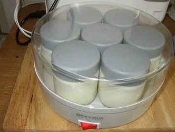 Mein selbst gemachter Joghurt - Rezept - Bild Nr. 2