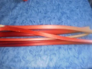 Rezept: Rhabarberkompott Bild Nr. 2 Rhabarberkompott - Rezept - Bild Nr. 2