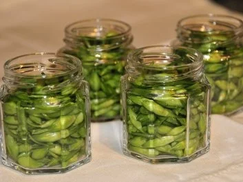 Bärlauch Kapern - Rezept - Bild Nr. 5