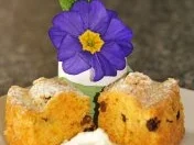 Rosinenkuchen 4 Two - Rezept