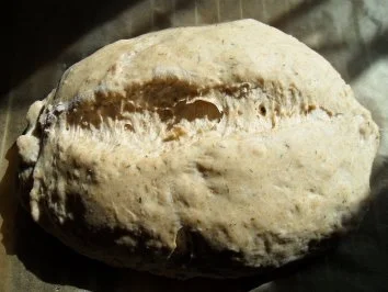 Thymianbrot - Rezept - Bild Nr. 11