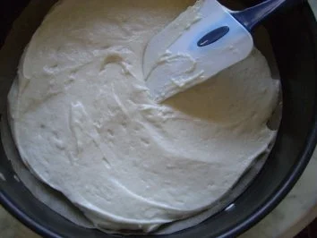 Apfelkuchen mit Guss nach Weight Watchers - Rezept - Bild Nr. 4