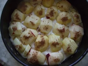 Apfelkuchen mit Guss nach Weight Watchers - Rezept - Bild Nr. 6