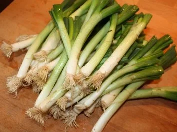 Käse-Lauchzwiebel-Suppe - Rezept - Bild Nr. 3