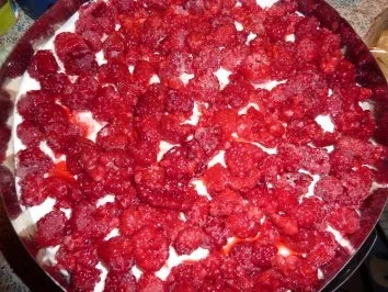 Torten: Himbeer-Joghurttorte - Rezept - Bild Nr. 7