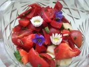 Paprika-Kräuter-Salat - Rezept