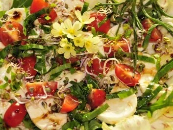 Frühlingscaprese mit Bärlauch - Rezept